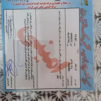 پراید مدل ۸۷ دوگانه فابریک|خودرو سواری و وانت|مینودشت, |دیوار