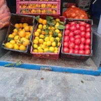 پخش عمده انواع میوه در سطح شهرستان شاهین دژ و حومه|عمده‌فروشی|شاهین دژ, |دیوار