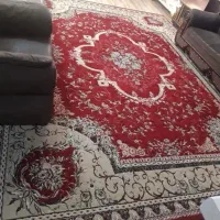 قالی ۱۲متری در حد نو