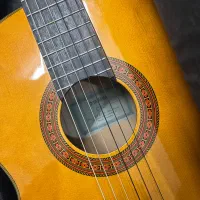 گیتار کلاسیک c70|گیتار، بیس، امپلیفایر|آمل, |دیوار