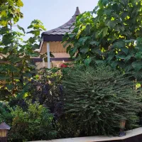 رنت ویلاروزانه باغ سهیلیه شهریارکردان چهارباغ مالک