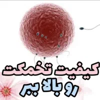 مشکلات بانوان|خدمات آرایشگری و زیبایی|قم, صفائیه|دیوار