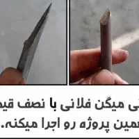حفاظ شاخ گوزنی باارسال رایگان