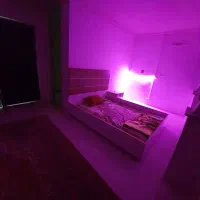 سوییت سویت سوئیت اجاره روزانه و ساعتی