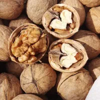 گردو|خوردنی و آشامیدنی|شیراز, شهرک فرهنگیان|دیوار