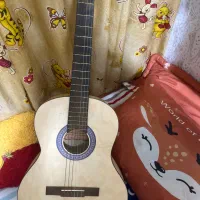 گیتار زاگرس c310