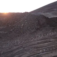 کود گاوی ...خاک باغچه بهترین .|خدمات باغبانی و درختکاری|دماوند, گیلاوند|دیوار