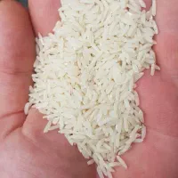 برنج طارم هاشمی اعلا شیره'دار'
