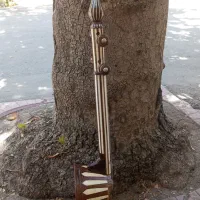 کمانچه کاسه خورشیدی