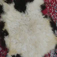 زیر پایی مدل پشم میش قیمت توافقی