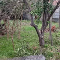 زمین-منطقه-توریستی-نوشهر-400-متری-سند-دار