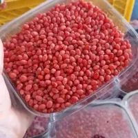 زرشک قائن  تازه دون شده وبسته بندی شده