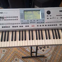 اورگ|پیانو، کیبورد، آکاردئون|بیرجند, |دیوار