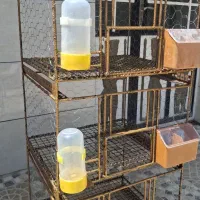 جفت گاه کبوتر
