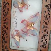 ست زیبای پروانی