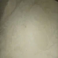 مصاح ساختمانی