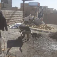 اوستا بنا خورده کاری .سیمان کاری دیوار چینی مزایک