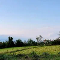 فروش زمین مسکونی|فروش زمین و ملک کلنگی|رضوانشهر, |دیوار