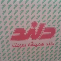 کلید و پریز دلند مدل اسا