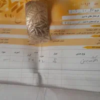 گشواره تک دست|جواهرات|قم, آذر (نکویی)|دیوار