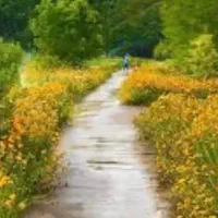 ۲ساعت آب باغ