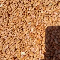 لوبیاچیتی قیمت مناسب|خوردنی و آشامیدنی|قلقل رود, |دیوار