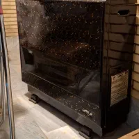 بخاری بریجن