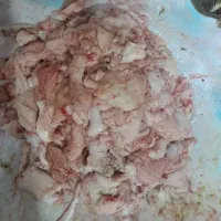 پوست و روده گوسفند|لوازم جانبی حیوانات|باقرشهر, |دیوار