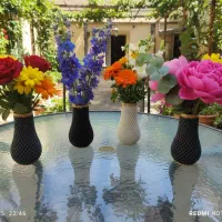 گلدونای 12 سانتی