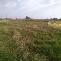 ۵هزارمترزمین کشاورزی سنتی باجاده ۶متری|فروش دفتر صنعتی، کشاورزی، تجاری|کوچصفهان, |دیوار