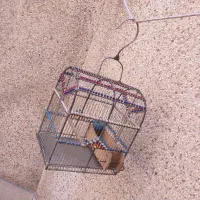 قفس بازاری قفس سهره دست بافت لوازم جانبی