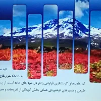 طراحی پاورپوینت، رزومه و سربرگ