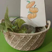 سبد حصیری میوه و سبزی