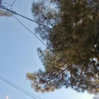 چهاردیواری ۳۲۰متر سهیلیه