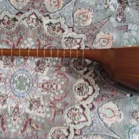 تنبور کارکرده، خوش صدا|سازهای سنتی|همدان, |دیوار