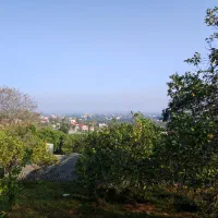 فروش زمین 300متری|فروش زمین و ملک کلنگی|نشتارود, |دیوار