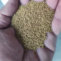 فروشبذریونجهسبزمارال