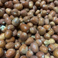 سنجد تازه امسال