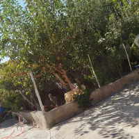 خانه مسکونی فروشی سیف آباد|فروش خانه و ویلا|خرمدشت, |دیوار