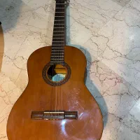 گیتار هافنر c60