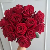 گل رز طبیعی