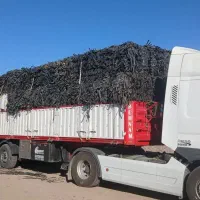 ضایعات نوار تیپ