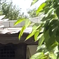 نگهبانی و باغداری  باغ تمام وقت