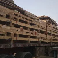 خرید وفروش چوب چنار و هیزمی وتخته و سه لایی پالت|عمده‌فروشی|تهران, شهید رجایی|دیوار