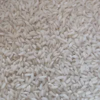 برنج عنبر بو