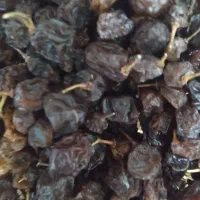 کشمش آفتابی