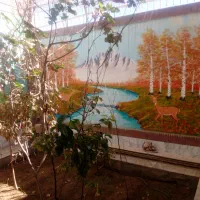 تک واحدی فول امکانات|اجارهٔ آپارتمان|زاهدان, |دیوار