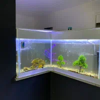آکواریوم‌ آماده با همه‌ وسایل فروشی