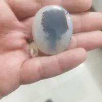 سنگ شجر