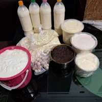 لبنیات خانگی